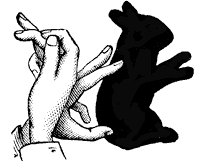bunny magic